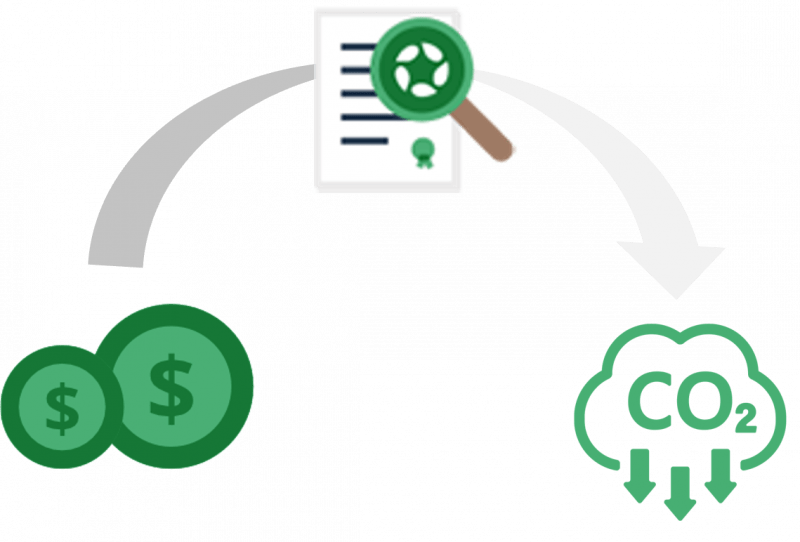 How To Buy Carbon Credits | Carbonhalo